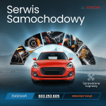 czym jest profesjonalny serwis samochodowy